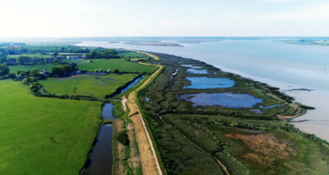 Cudmore Grove ESSEX DRONES 3032