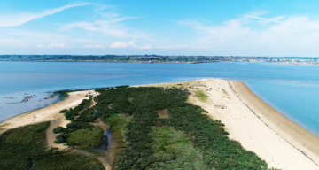 Cudmore Grove ESSEX DRONES 3030