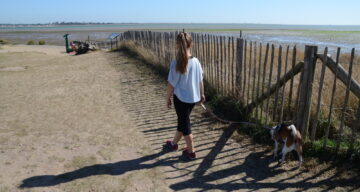 A young girl walking a dog along a beach