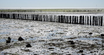 A muddy beach at low tide