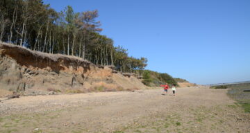 People waling along the coast during the day