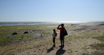 A man and young girl exploring the coast