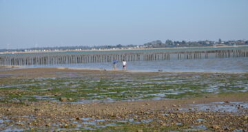 A stony beach at low tide during the day