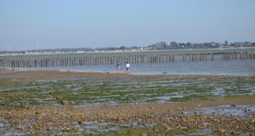 A stony beach at low tide during the day