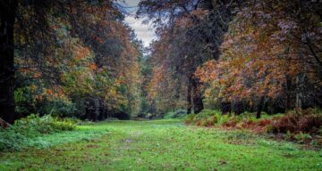 Andrew Adams photo small