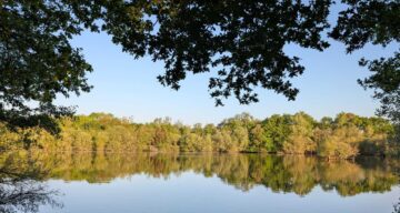 Belhus Lake Rob Goodrick