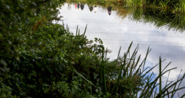 Blackwater Navigation Canal Beeleigh Sept15 3256 SOP