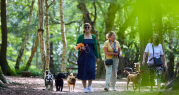 EE Thorndon Weald 24 0059