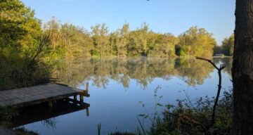 Fishing Lake at Belhus Rob Goodrick