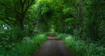 Flitch Way 3