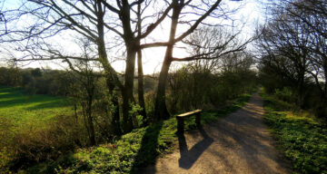 Flitch Way 4