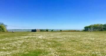 An open area of grassland on a sunny day