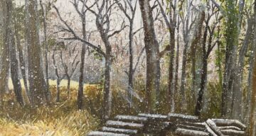 Entry by Kay Fuller