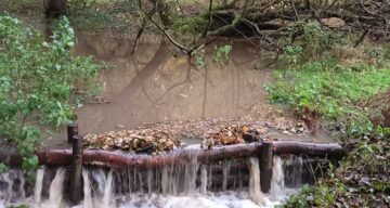Leaky dam in action at Weald