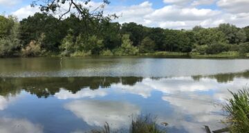 Old Hall Pond
