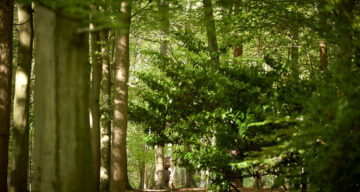 Thorndon Sept22 0281