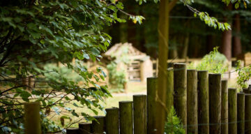 Thorndon Sept22 0714