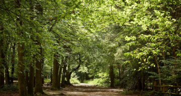 Thorndon Sept22 0723