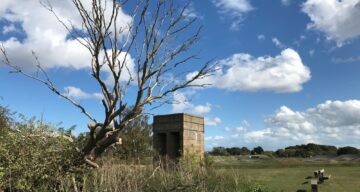 WWII monuments at Hadleigh Park