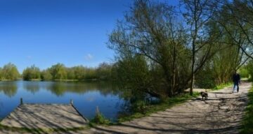 Belhus woods jetty lake path dog walker1 440x227