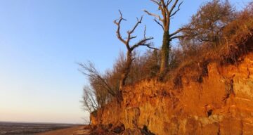 The coast at Cudmore Grove at sunset