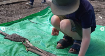 Entry by Wivenhoe Park Day Nursery