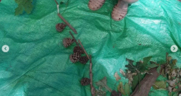Entry by Wivenhoe Park Day Nursery