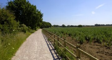Flitch Way trail and field
