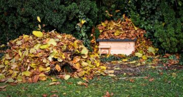 Hedgehog houses 4638624