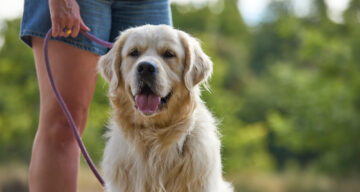 Lo res EE Notley 25 0014