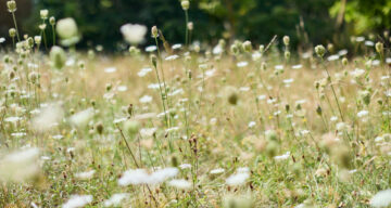 Lo res EE Danbury Aug24 159