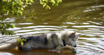 Lo res EE Danbury Aug24 175