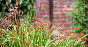 Lo res EE Danbury Aug24 340