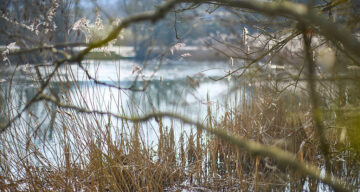 Lo res EE Notley Feb25 444