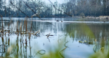 Lo res EE Notley Feb25 477