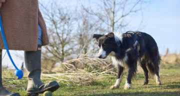 Lo res EE Notley Feb25 912