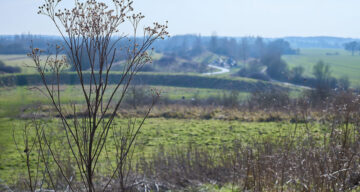 Lo res EE Notley Feb25 940