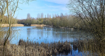 Lo res EE Notley Feb25 959