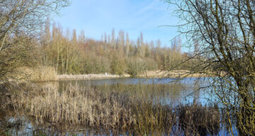 Lo res EE Notley Feb25 962