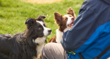 Lo res Explore Essex Cudmore Apr23 029