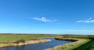 Marsh farm country park Nov 20 SF