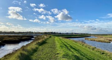 Marsh farm river 3 SF