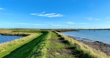 Marsh farm river2 SF