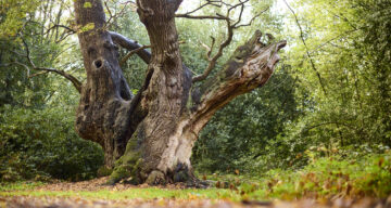 Med res ECP Danbury Sept22 0005