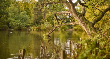 Med res ECP Danbury Sept22 0026