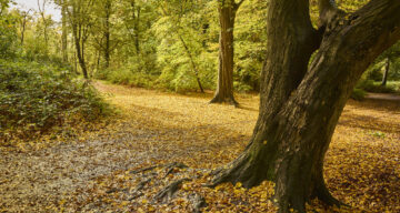 Med res ECP Danbury Sept22 0971