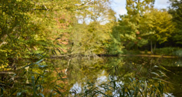 Med res ECP Danbury Sept22 1012