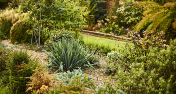 Med res ECP Danbury Sept22 1045