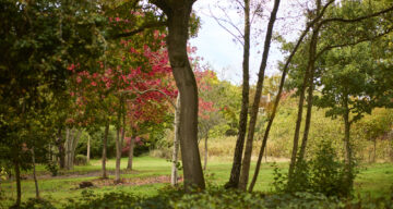 Med res ECP Danbury Sept22 1056