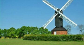 Mountnessing Mill in summer